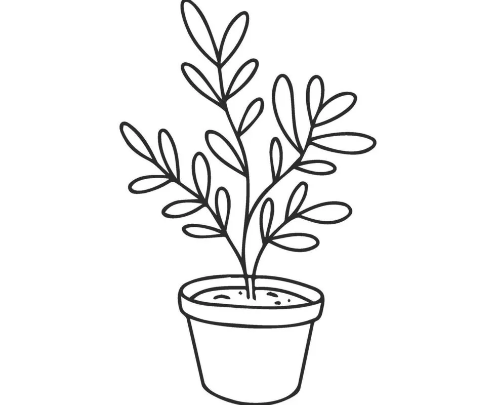 A small potted plant on a sunlit windowsill