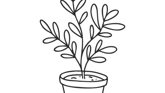 A small potted plant on a sunlit windowsill